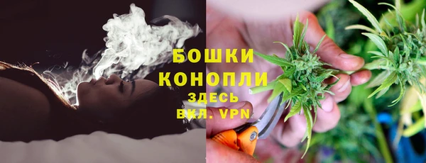 гидра Елабуга
