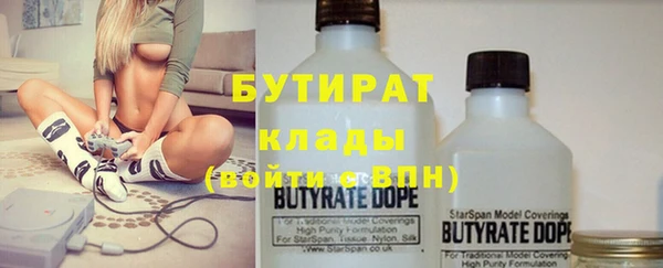 гидра Елабуга