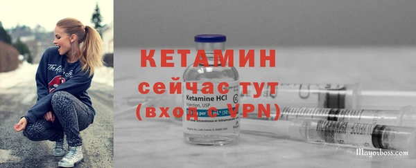 гидра Елабуга