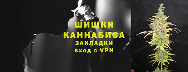 гидра Елабуга