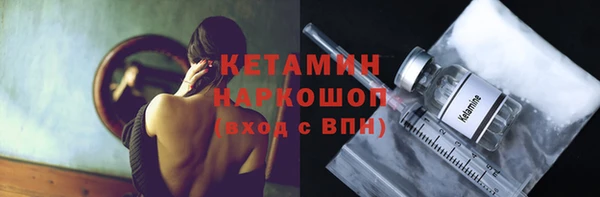 гидра Елабуга