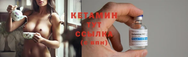 гидра Елабуга
