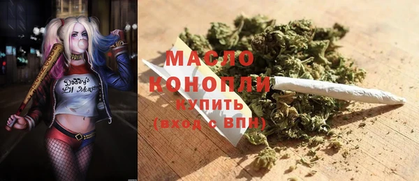 гидра Елабуга