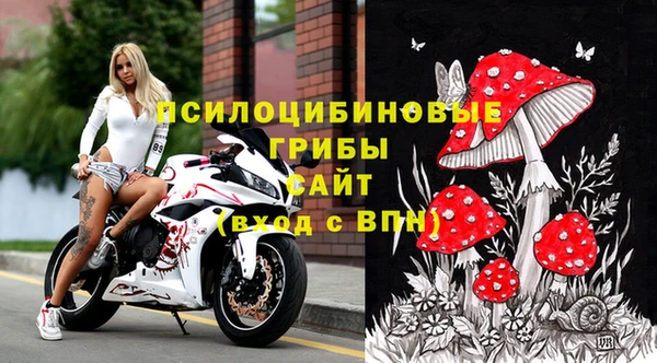 ПСИЛОЦИБИНОВЫЕ ГРИБЫ Елизово