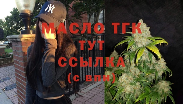 гидра Елабуга