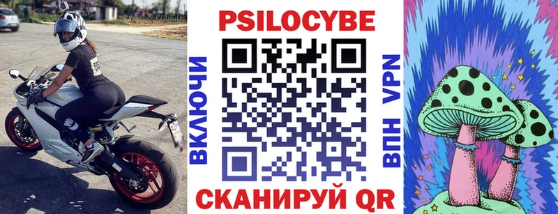 Галлюциногенные грибы Psilocybe  Купить где  Калининск 